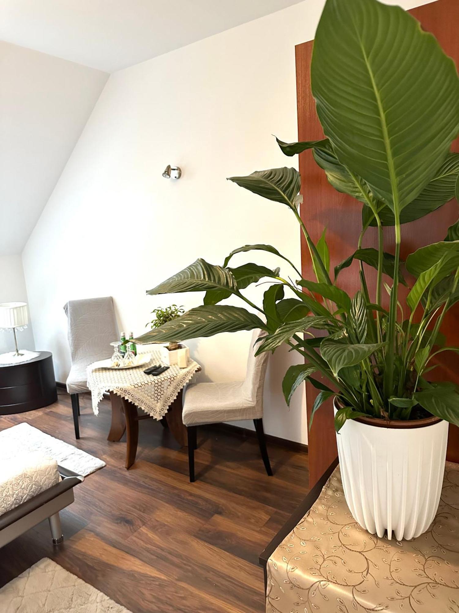 Dolce Vita Ustron Ngoại thất bức ảnh